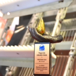 Krata katenarna Esmil